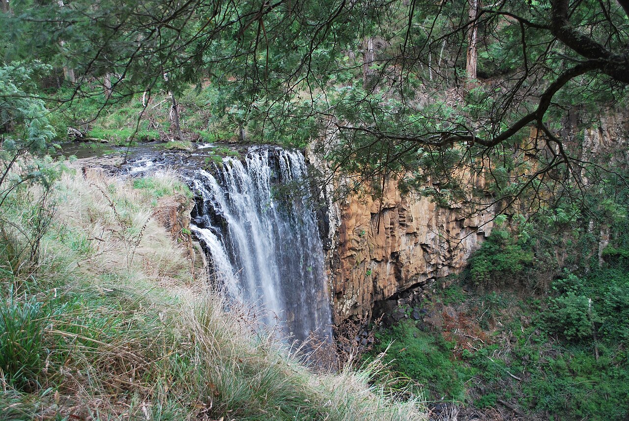 Trentham Falls surrounded by forest