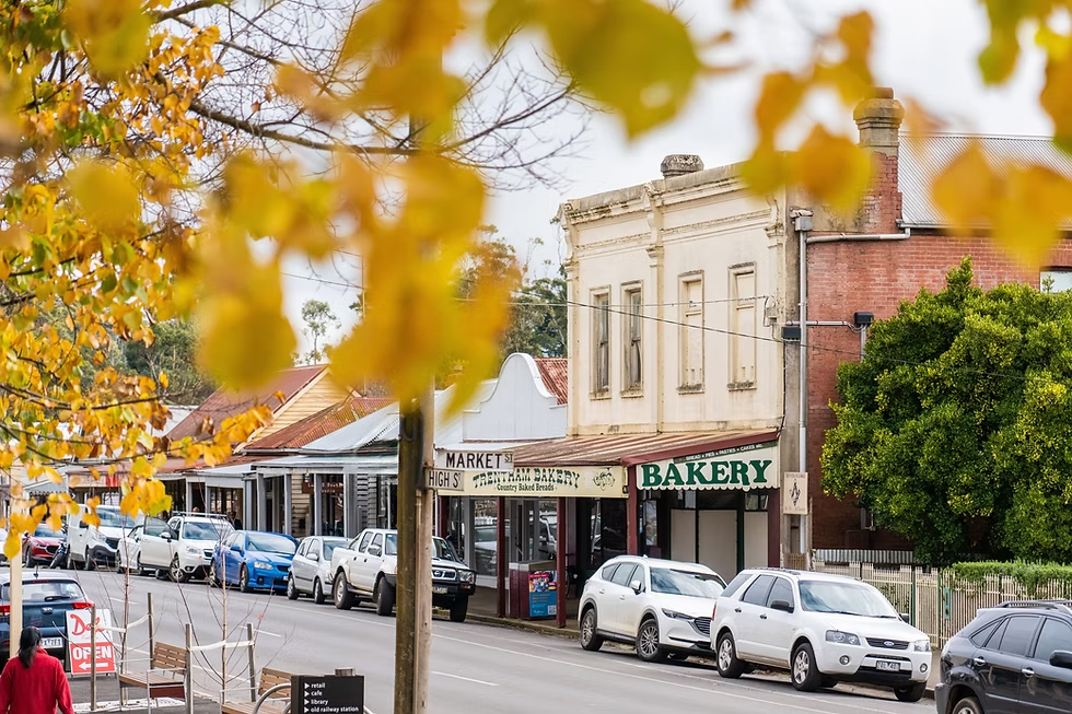 High Street in Trentham framed by autumn leaves